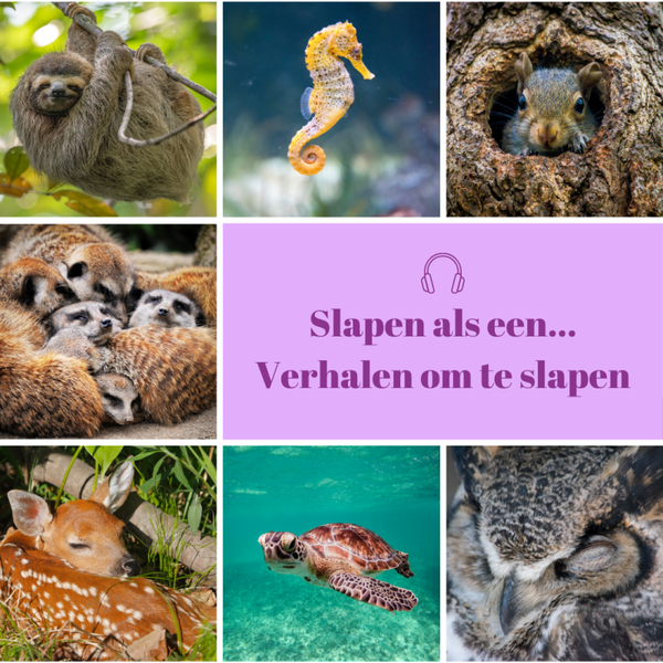 Album Slapen als een... Verhalen om te slapen