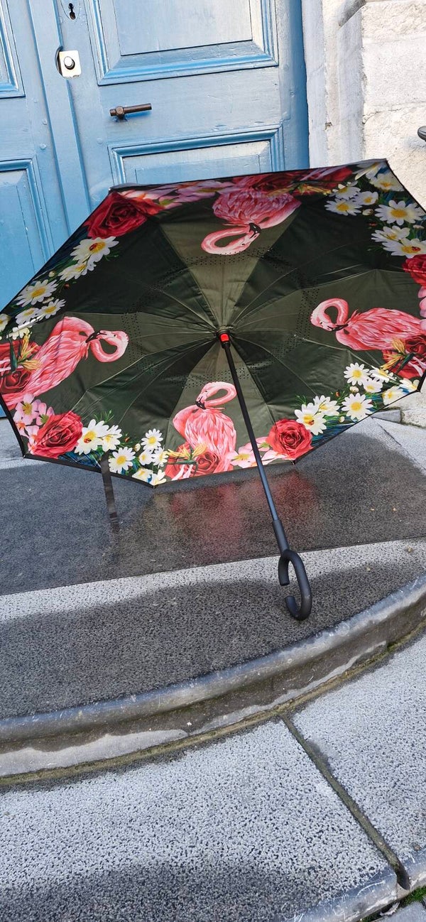 Parapluie inversé – Pratique, original et élégant