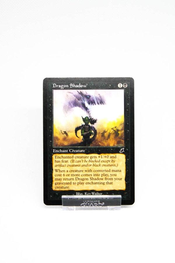 Dragon Shadow