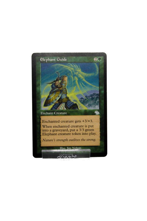 Elephant Guide