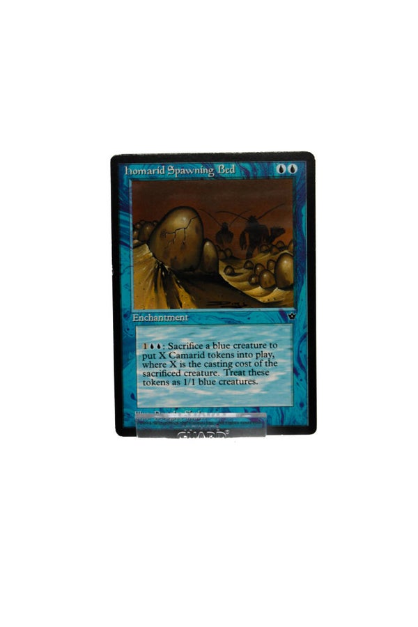 Homarid Spawning Bed