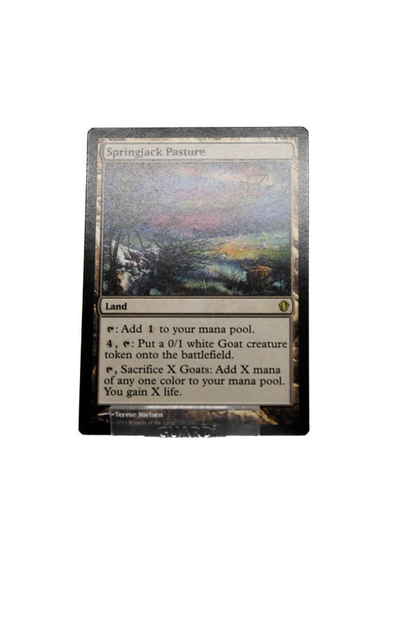 Springjack Pasture