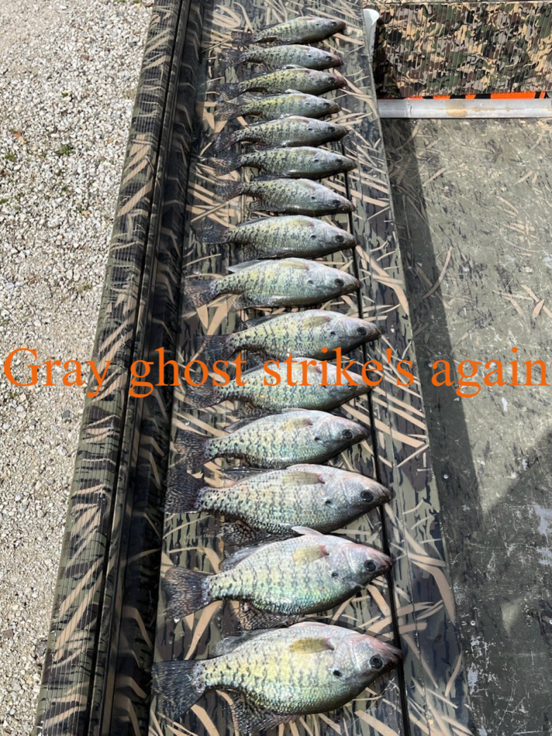 all fish caught on the gray ghost from Bite Me custom crappie jig's