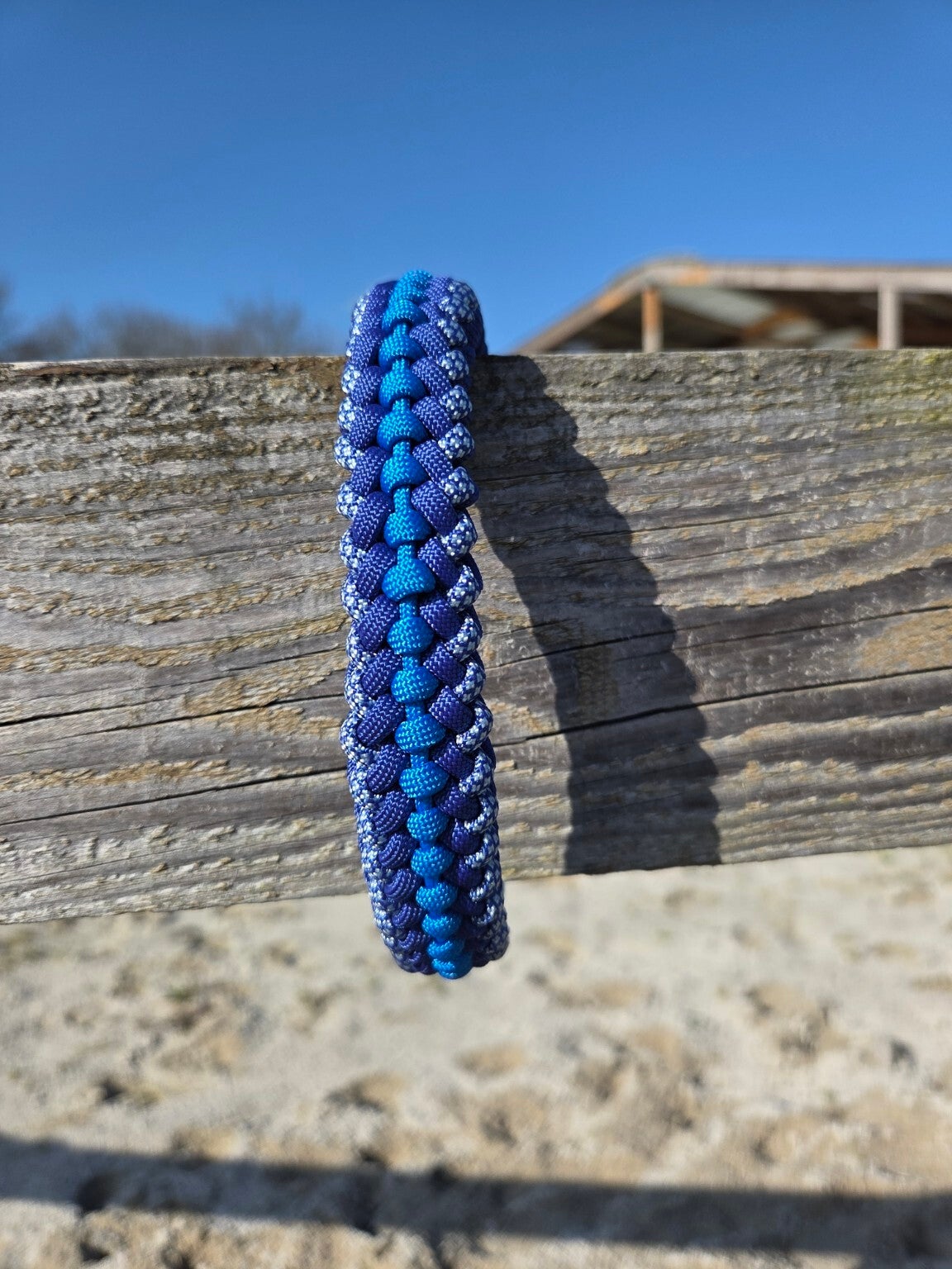 Collier chien bleu "rond"