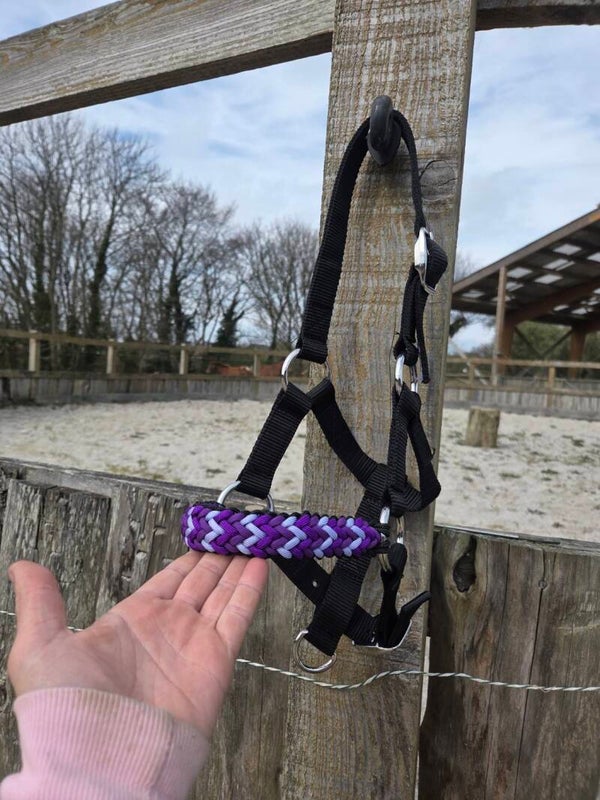 Licol plat tressé muserolle