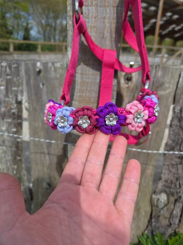 Licol plat fleurs