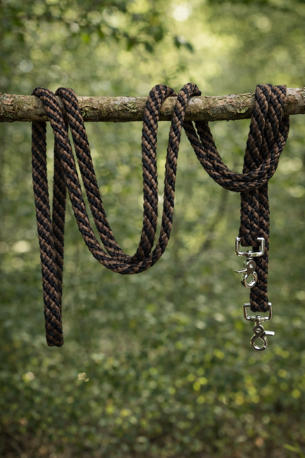 Rênes en corde plates