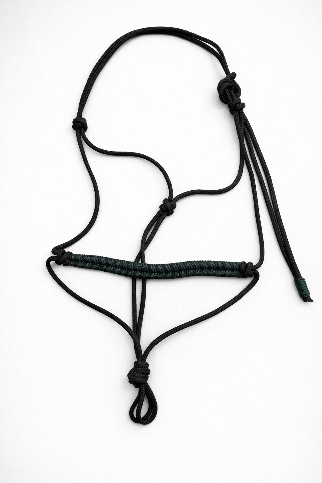 Licol noir et vert sapin + Longe