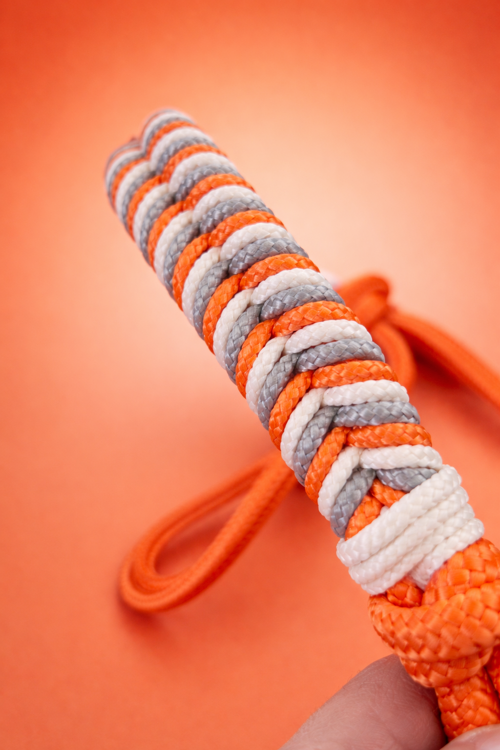 Licol épi Orange crème et gris