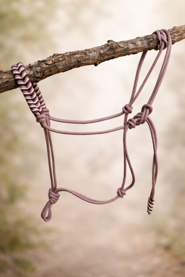 Licol épi Rose cuivré, aubergine rotie, crème