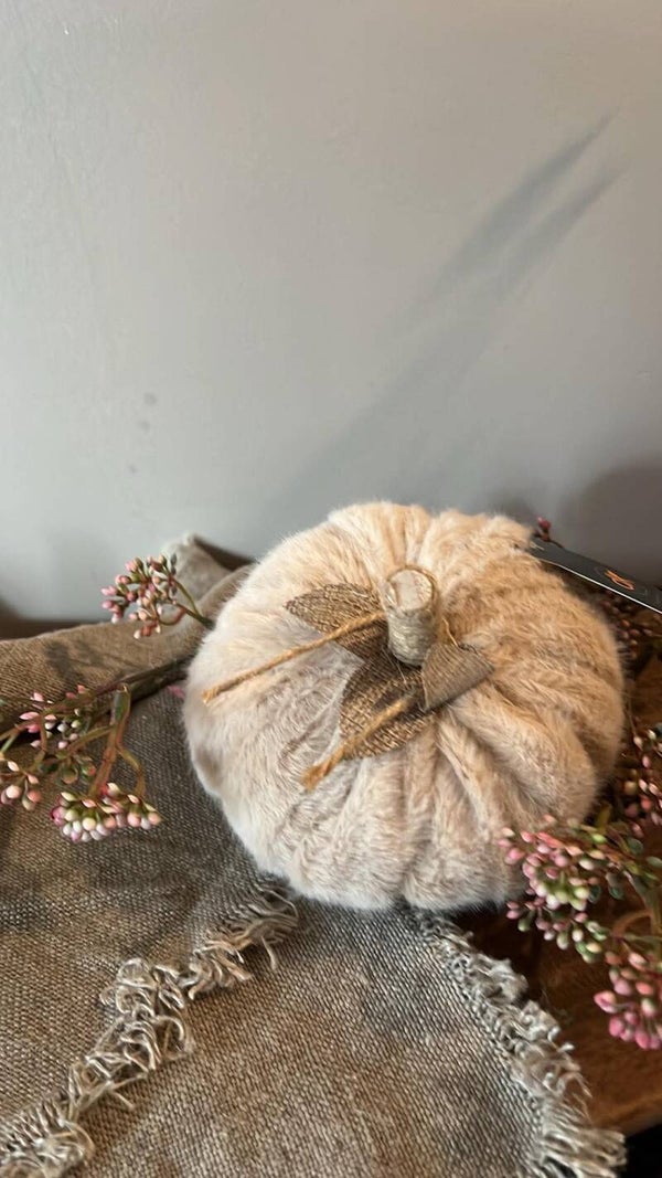 Pompoen - vilt - Beige - S
