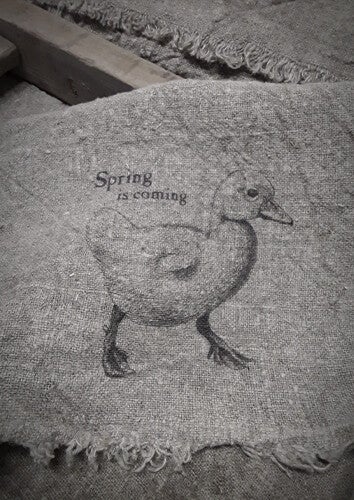 Shabby doek - 30/45 - Eend : Spring is coming