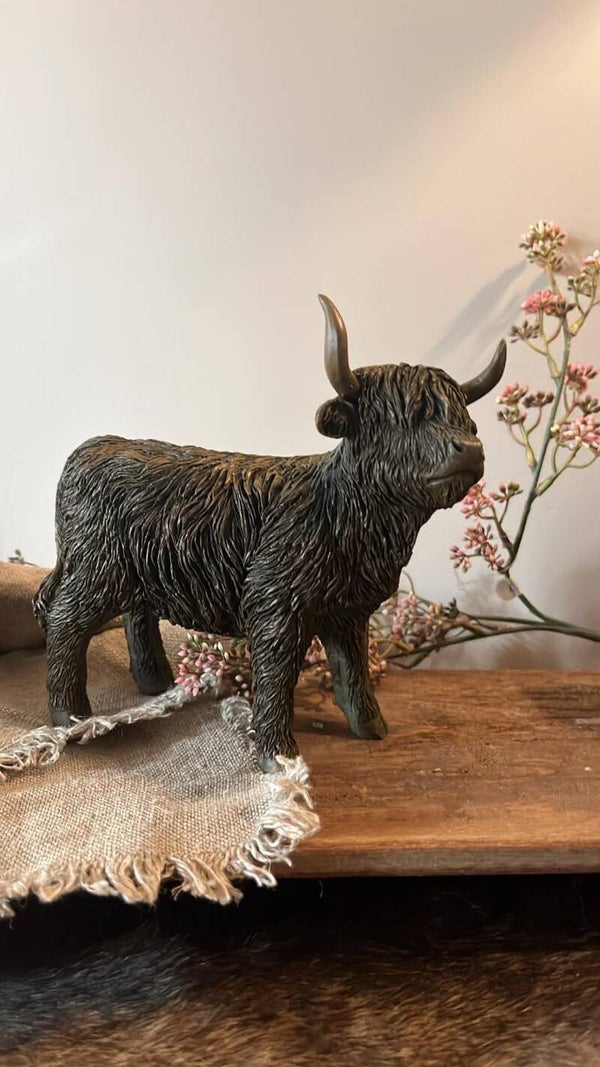 Hooglander - Ulla - bruin - S