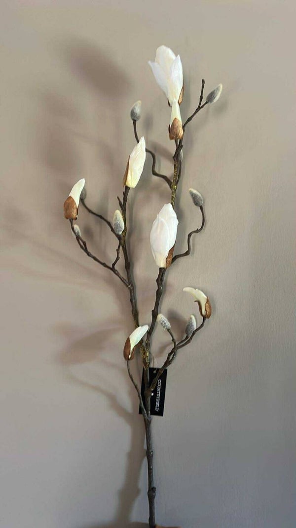 Magnoliatak -knop- wit