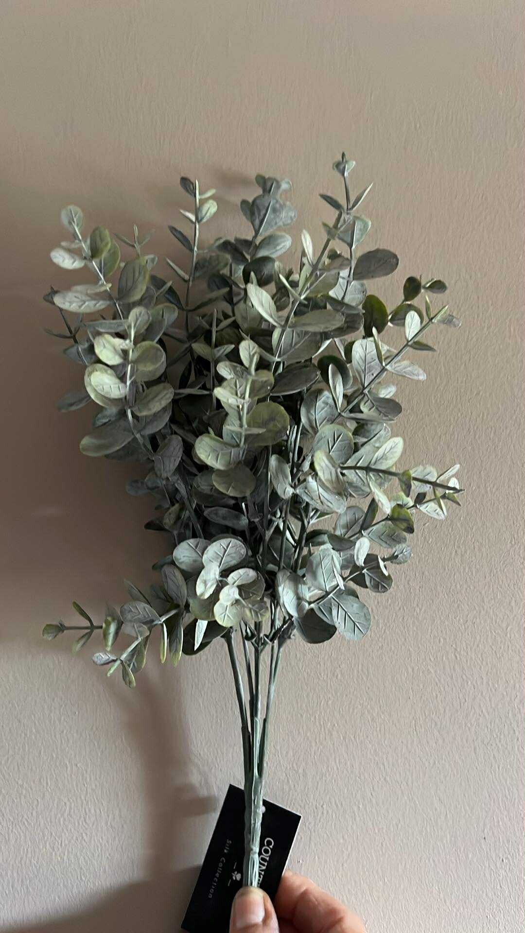 Bundeltje - Eucalyptus - Mini - 35 cm