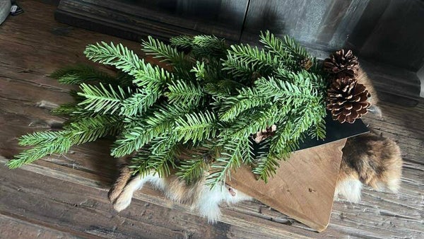 Kersttoef - XL - pine cone