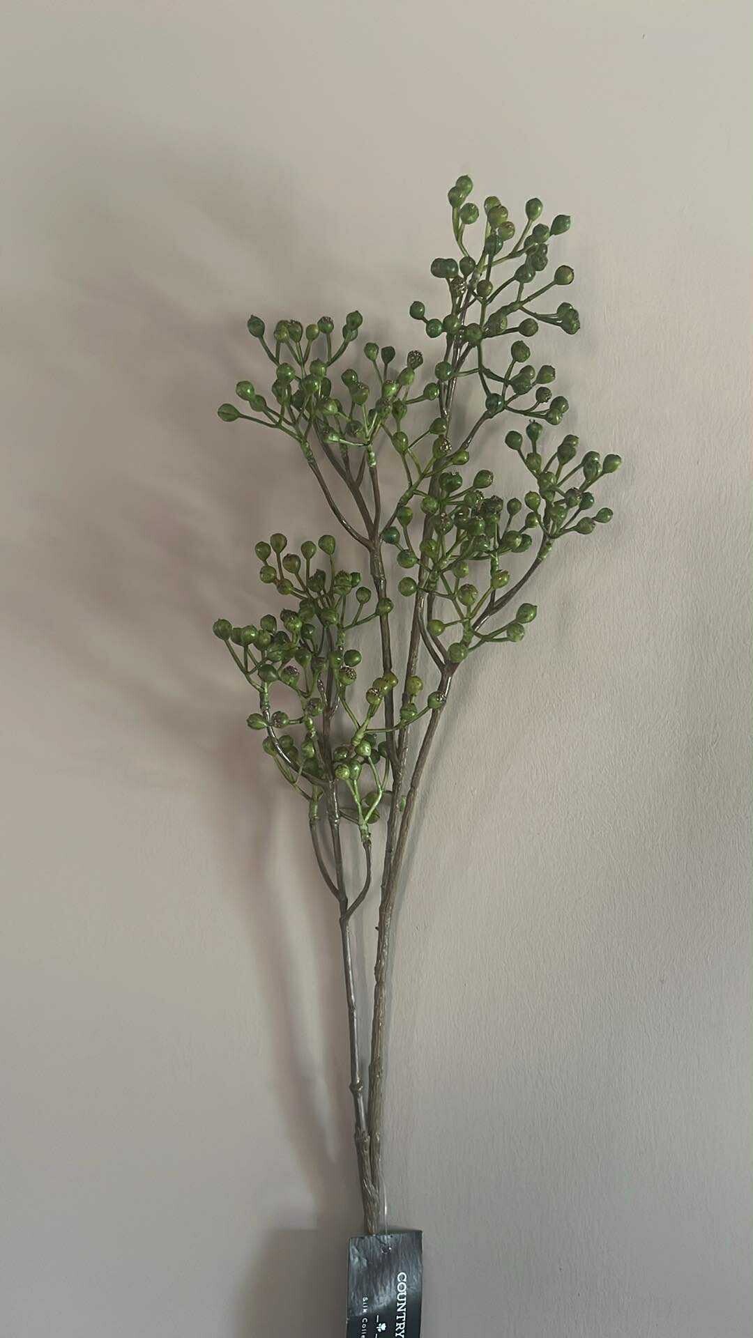 Rozebotteltak - groen