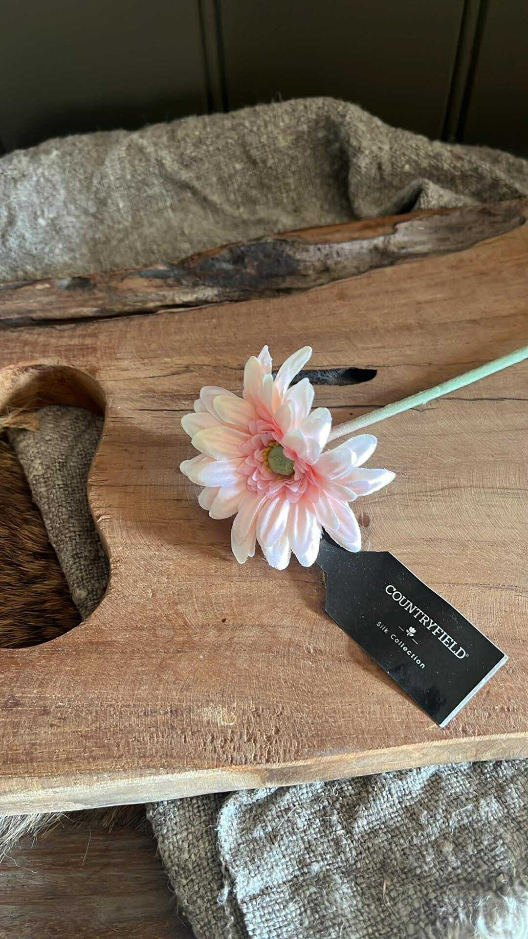 Germini - Piccolo - roze - 49 cm