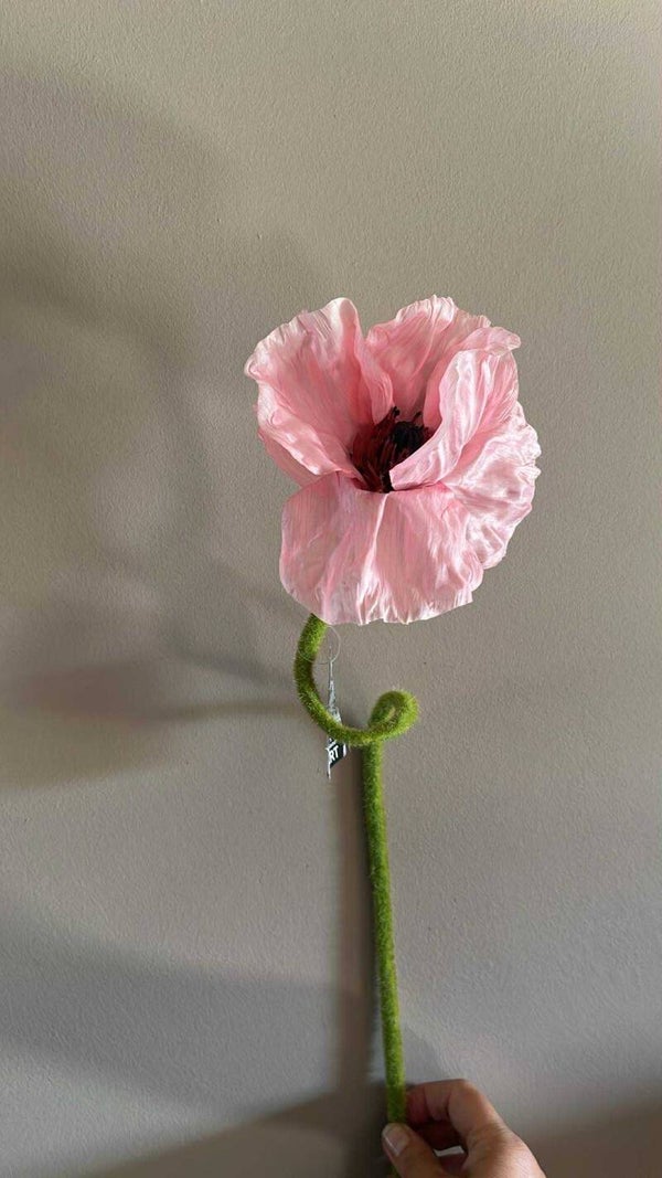 Papaver - Pink - 70 cm