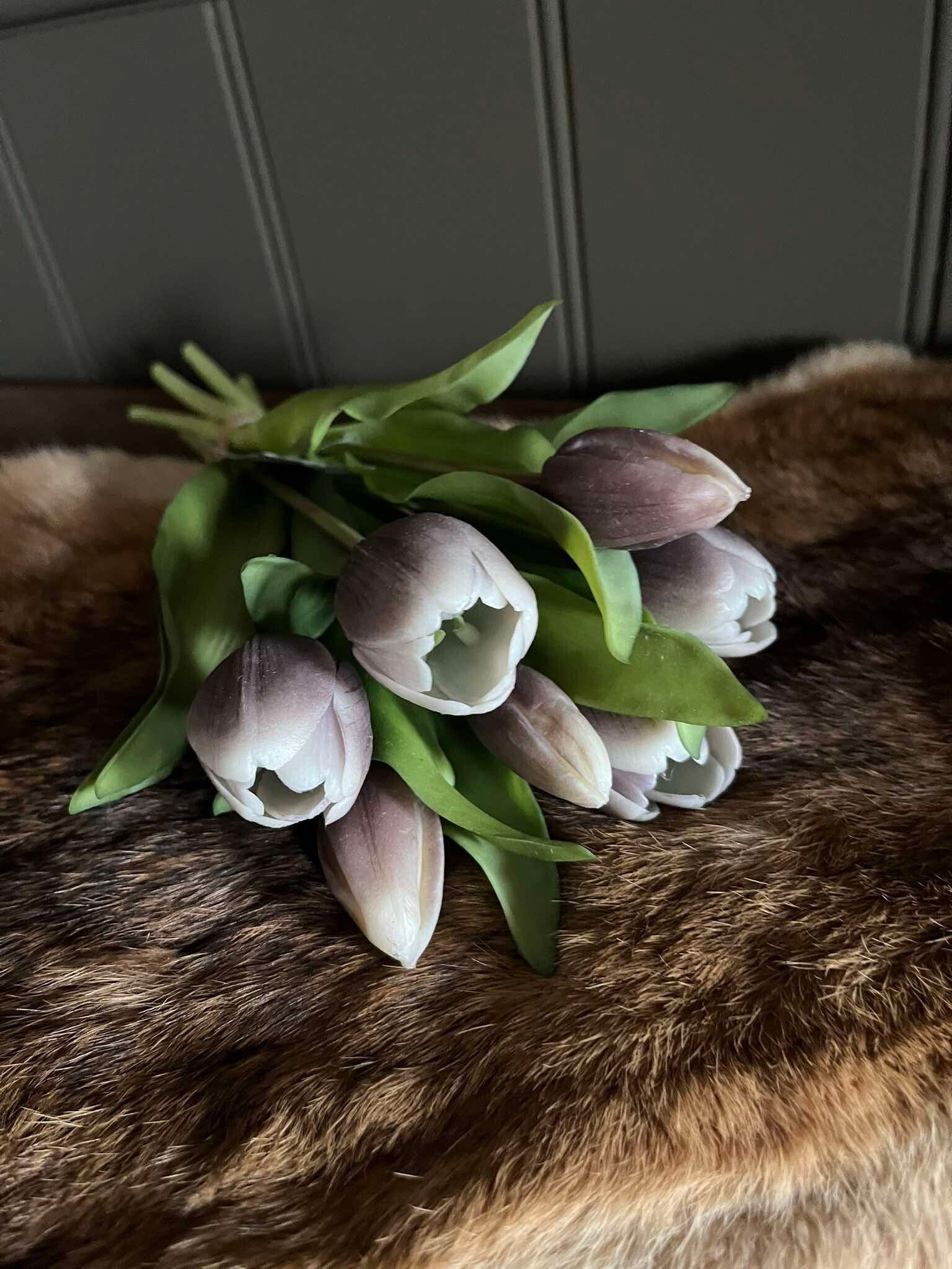 Tulp - Julia - Purpleblack - per 7 stelen - 31 cm