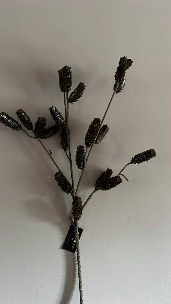 Denappels aan tak - 90 cm