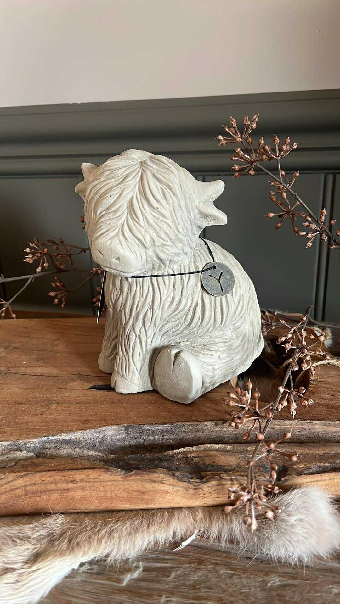 MT - Hooglander - zittend