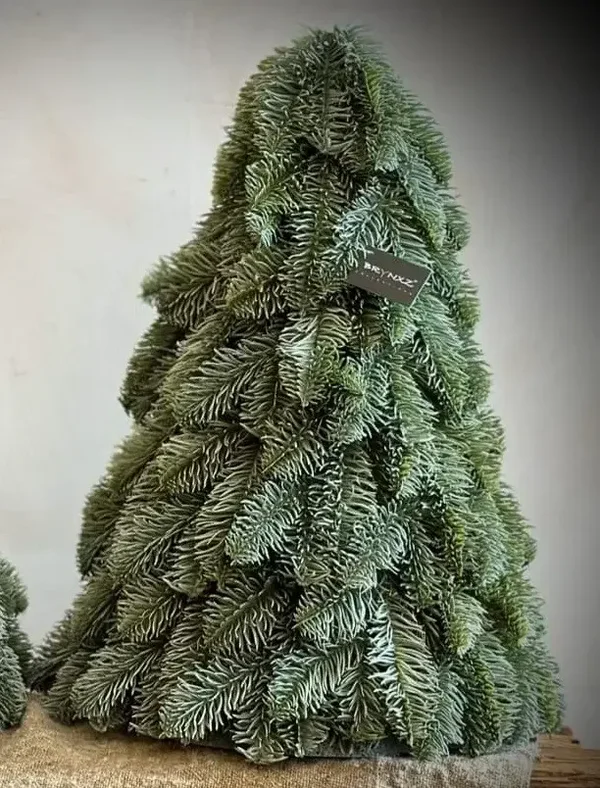 Nobilis boom - nep - Maat S, M en L