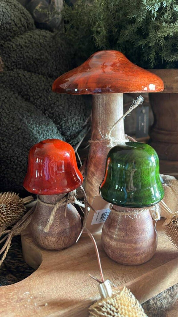 Paddestoelen - Set van 3 - Kleur - Nr. 1