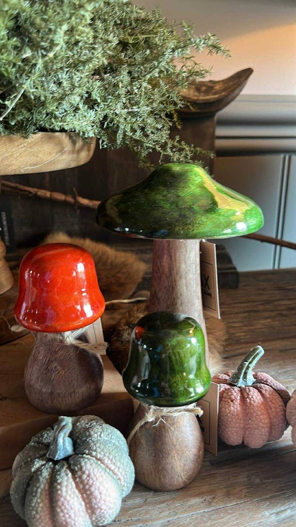 Paddestoelen - Set van 3 - Kleur - Nr. 2