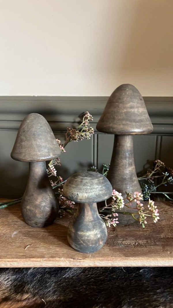 Paddestoelen - Set van 3 - Nr. 1