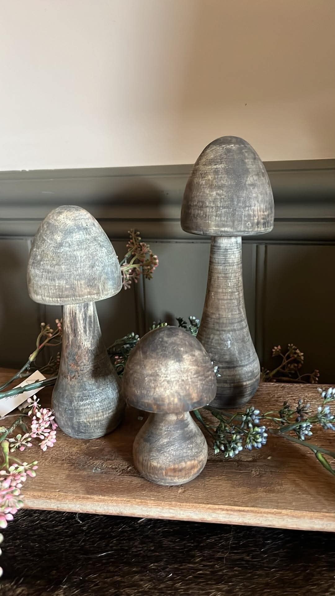 Paddestoelen - Set van 3 - Nr. 3