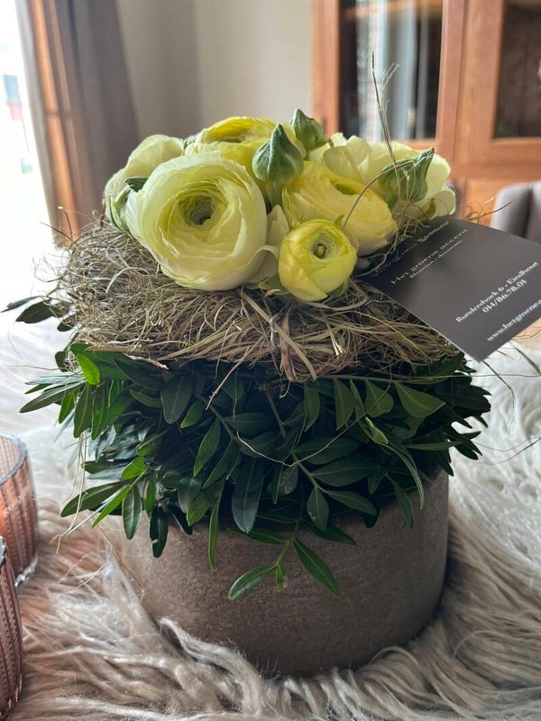 Ranonkel-taartje - S - incl. ondergrond