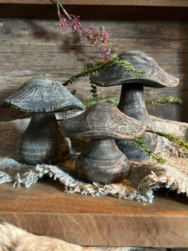 Paddestoelen - Set van 3 - Nr. 35