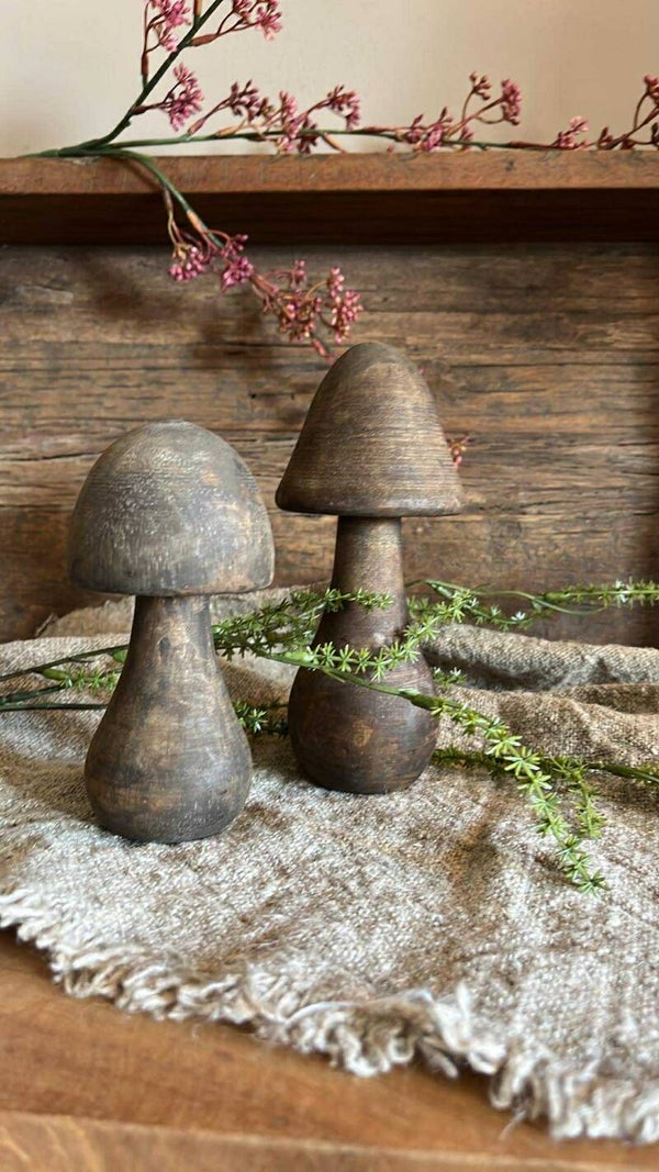 Paddestoelen - Set van 2 - Nr. 45