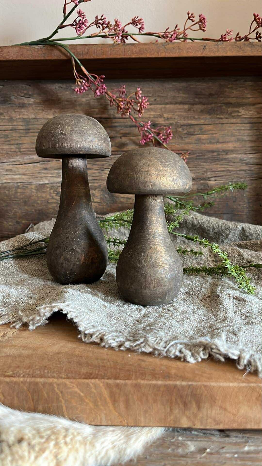 Paddestoelen - Set van 2 - Nr. 46