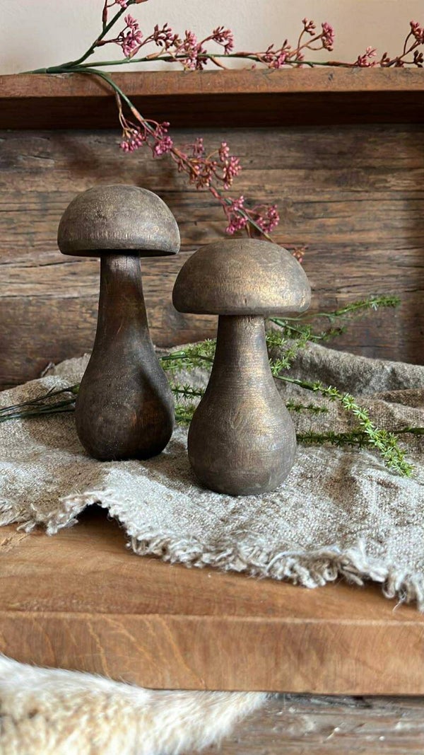 Paddestoelen - Set van 2 - Nr. 46