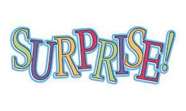 Surprise - wildboeket - XL