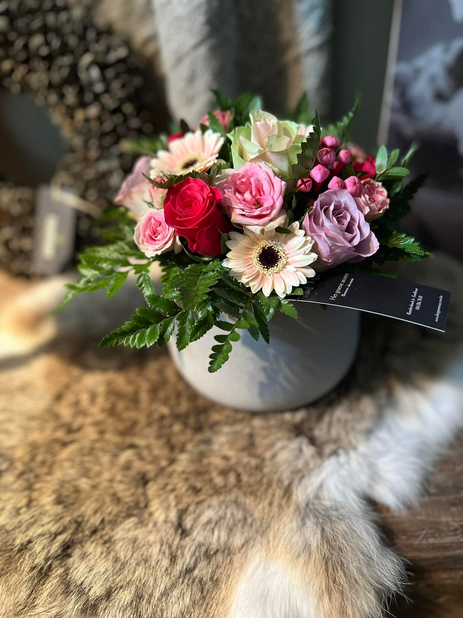 Stukje rozen-germini piccolo