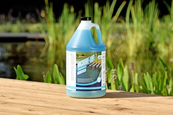 Microbe-Lift Natural Clear 4l Bacteriën