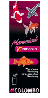 Propolis wound spray