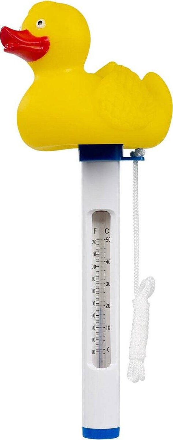 Drijvende thermometer - eend