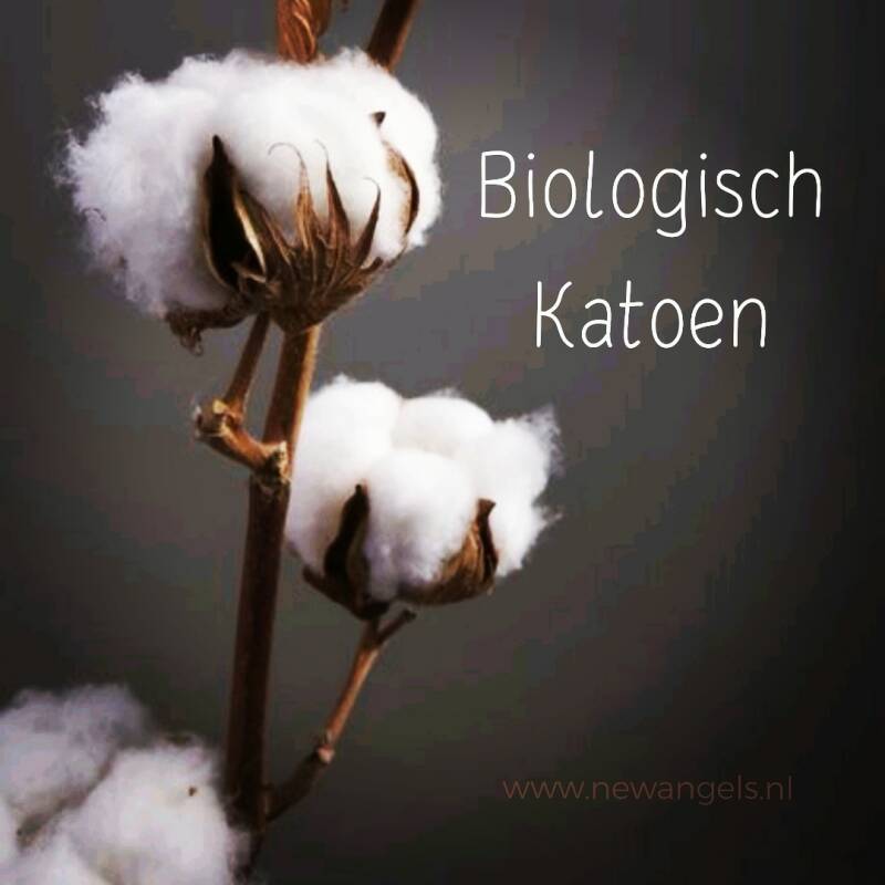 New Angels biologisch katoen. GOTS katoen voor New Angels. Groene kleding is milieuvriendelijke kleding die gemaakt is van natuurlijke materialen, zoals hennep, bamboe, linnen of biologisch katoen. De productie van groen kleding heeft in het bijzonder aan