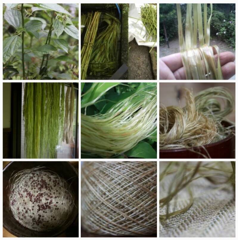 ramie ramee, verschil ramie en linnen, ramie stof, voordelen van ramie, chinees linnen, brandnetel stof, ramie stof, ramee stof,kleding van ramie, ramie kreukt, ramee kledingstukken, duurzame kleding, New Angels eco fashion, sustainable fashion, eco fabri