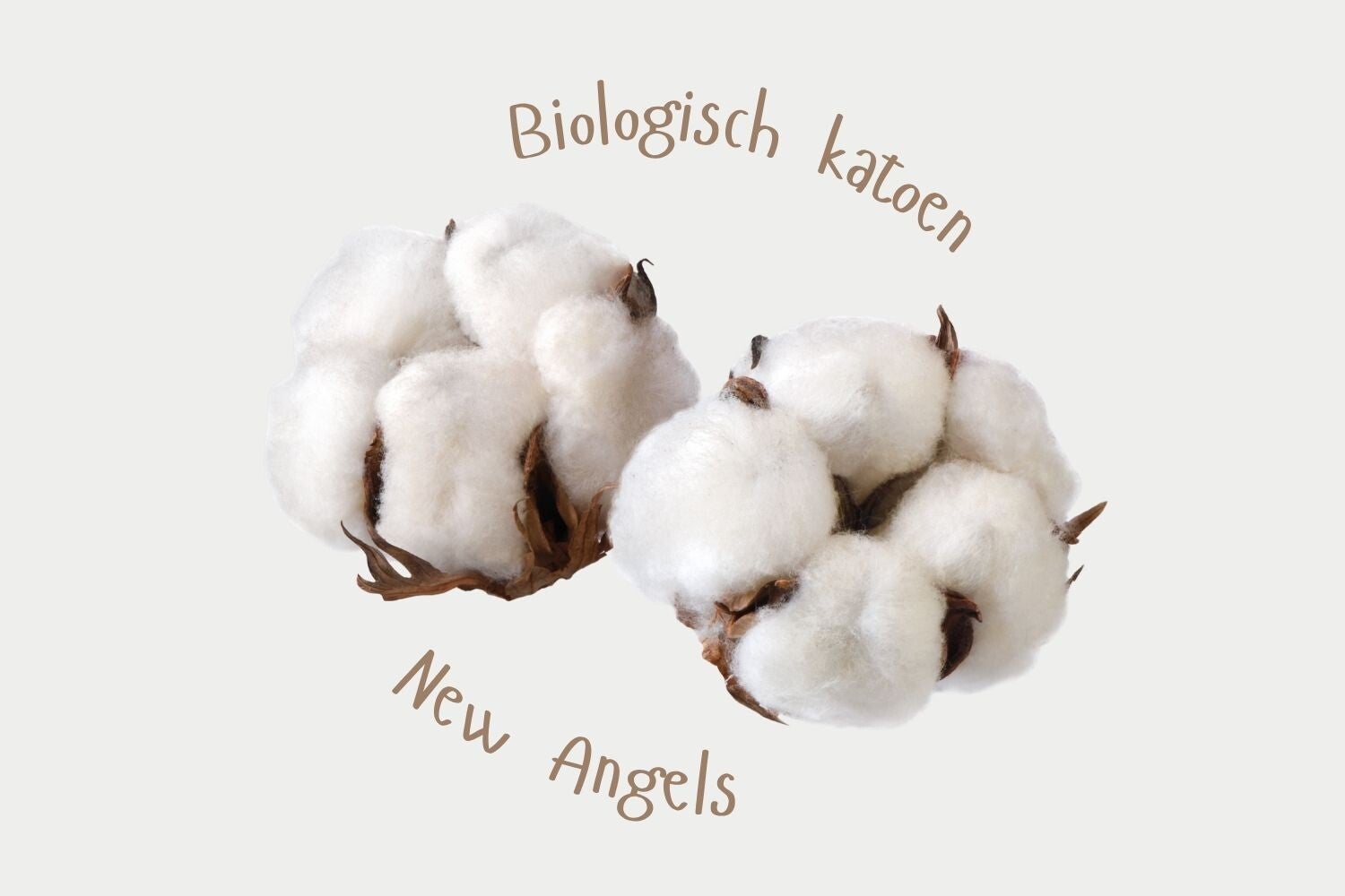 Biologisch katoen. biokatoen, organic cotton kids. new angels biokatoen jurk. Moeten kinderen biologisch katoen dragen? Is biologisch katoen minder giftig? Is 100% biologisch katoen hetzelfde als 100% katoen? Is katoen goed voor een baby?