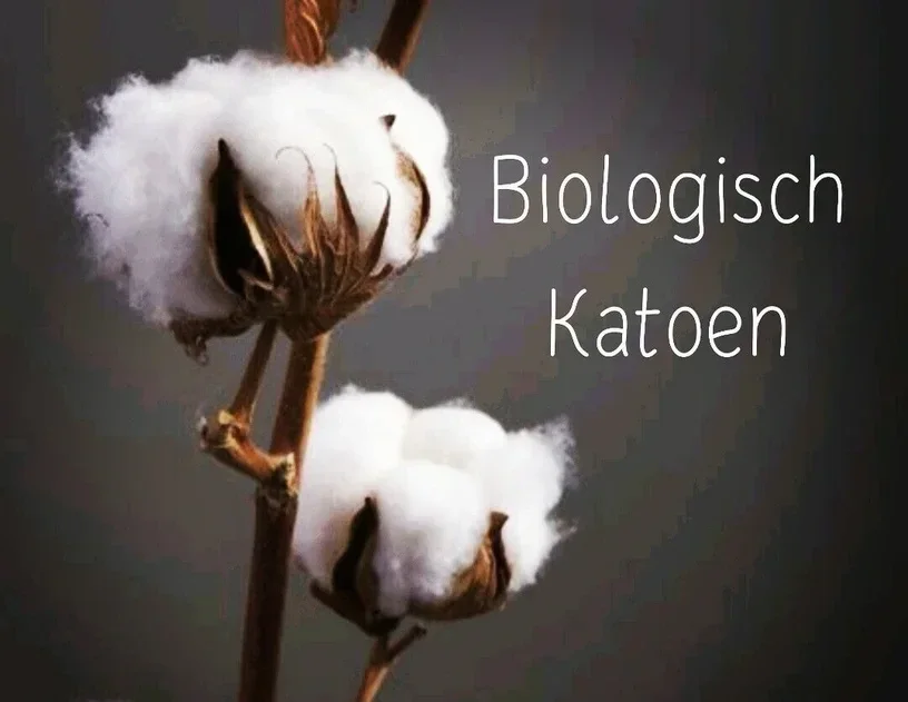 Meer weten over katoen en biologisch katoen? Wat is GOTS katoen? Wat is katoen satijn GOTS? Wat betekent gots cotton? Is katoen milieuvriendelijk? Welke katoen is het beste? Is het gezonder om biologisch katoen te dragen?