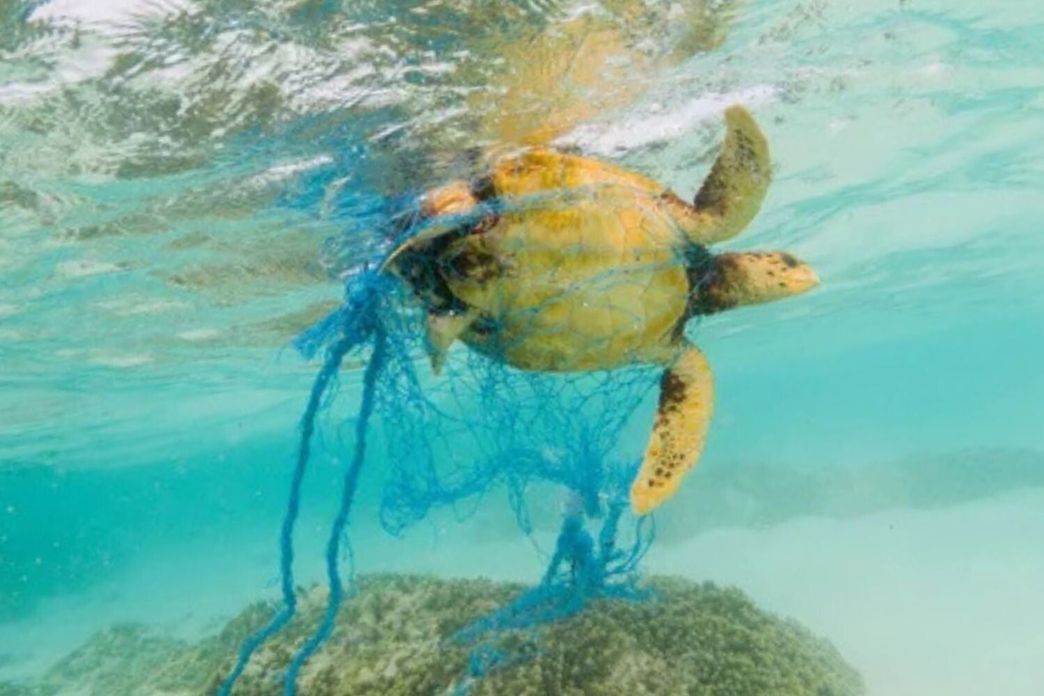 Duurzame kleding van New Angels is tijdloos, biologisch, uniek en wordt boendien in Nederland gemaakt. Welke stoffen zijn te recyclen? Wat zijn duurzame grondstoffen? Hoe duurzaam is recyclen? Wat zijn de meest duurzame materialen?