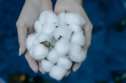 Biokatoen. GOTS katoen en oekotex katoen. verschil. Beide stoffen worden getest op giftige stoffen en gevaarlijke chemicaliën. Je weet dus zeker dat het veilig is voor de mensen die het dragen. Maar oeko-tex is niet persé biologisch. Dat wil dus zeggen da