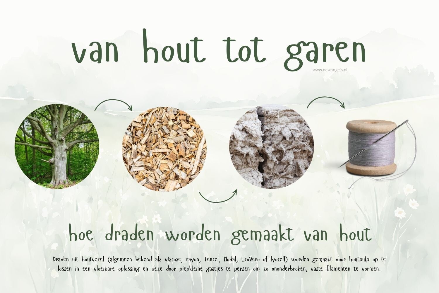 Het proces van modal stoffen, van hout toch garen. New Angels is een duurzaam kledingmerk met duurzame mode voor vrouwen. Mode gemaakt van modal stoffen. Tencel, modal en viscose zijn soortgelijke stoffen, zeer geschikt voor de milieubewuste vrouw.