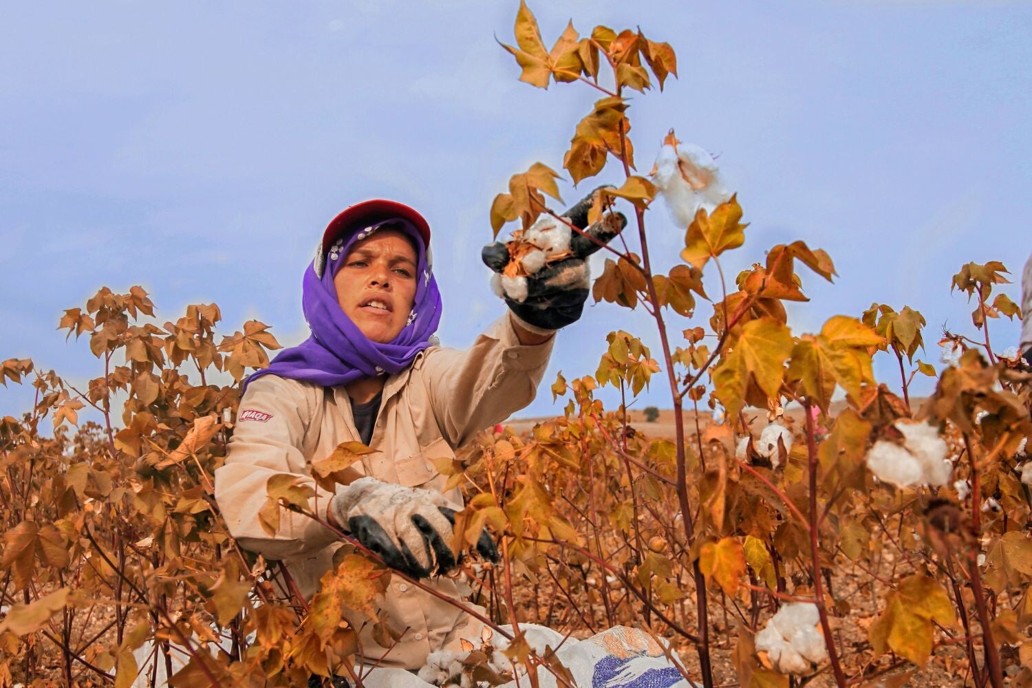 Onder fairtrade, ofwel eerlijke handel, verstaan we de handel met producenten in ontwikkelingslanden in Afrika, Azië en Latijns-Amerika tegen eerlijke handelsvoorwaarden. Doel is dat de boeren en andere leveranciers in deze landen een redelijke beloning k