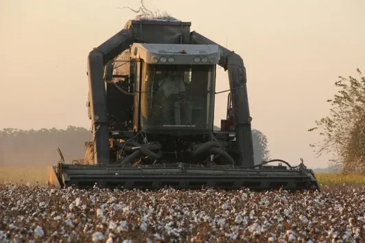 Katoen is een natuurlijke stof die wordt gemaakt van de vezels uit het zaadpluis van de katoenplant. Deze vezels worden tot draden gesponnen, waaruit vervolgens textiel wordt geweven of gebreid. Het is een zacht, sterk en ademend materiaal. New Angels